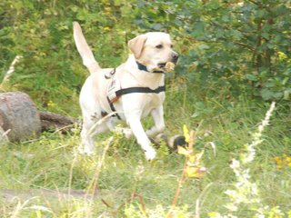 2009-08-23_ntb_6954