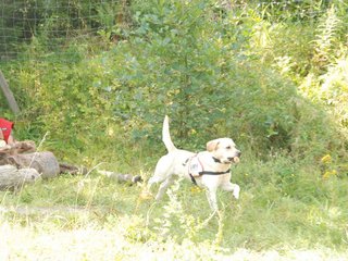 2009-08-23_ntb_6955