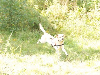 2009-08-23_ntb_6956
