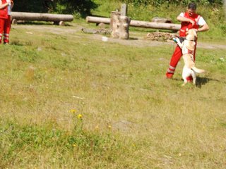 2009-08-23_ntb_6967