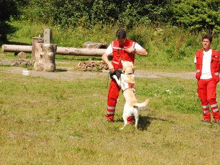 2009-08-23_ntb_6968