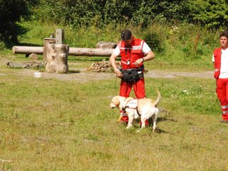 2009-08-23_ntb_6969