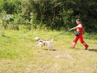 2009-08-23_ntb_6970