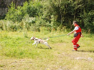 2009-08-23_ntb_6971