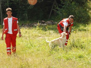 2009-08-23_ntb_6984