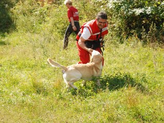 2009-08-23_ntb_6986