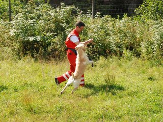 2009-08-23_ntb_6989