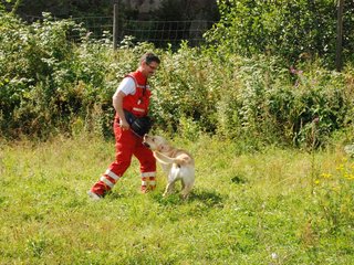2009-08-23_ntb_6990
