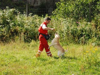 2009-08-23_ntb_6991
