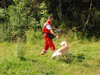 2009-08-23_ntb_6999