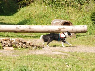 2009-08-23_ntb_7006