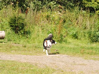 2009-08-23_ntb_7007