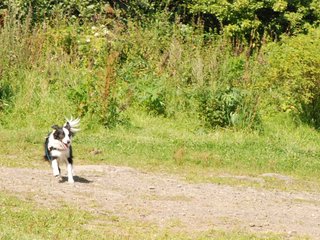 2009-08-23_ntb_7008