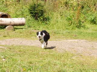 2009-08-23_ntb_7009