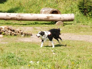 2009-08-23_ntb_7010