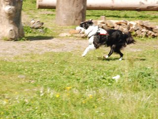 2009-08-23_ntb_7011