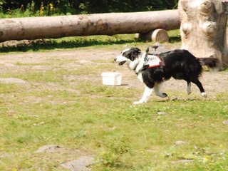 2009-08-23_ntb_7012