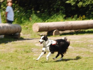 2009-08-23_ntb_7013