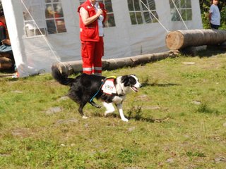 2009-08-23_ntb_7014
