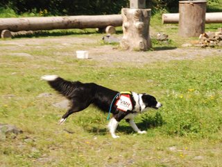2009-08-23_ntb_7015