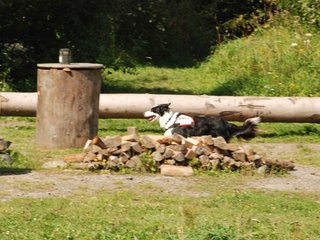 2009-08-23_ntb_7016