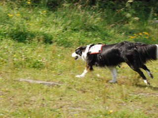 2009-08-23_ntb_7022