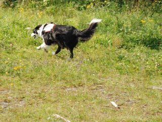 2009-08-23_ntb_7023
