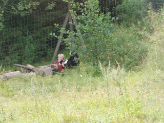 2009-08-23_ntb_7026