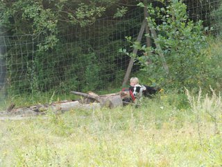 2009-08-23_ntb_7027