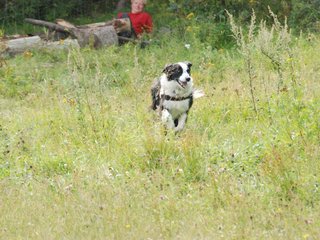 2009-08-23_ntb_7031