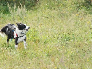 2009-08-23_ntb_7032
