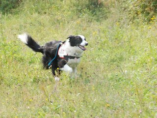 2009-08-23_ntb_7033