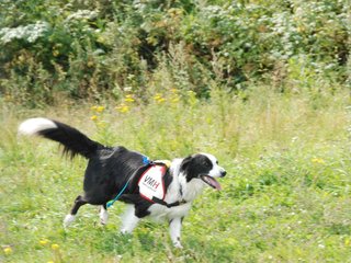 2009-08-23_ntb_7034