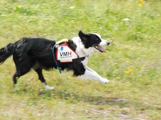 2009-08-23_ntb_7035