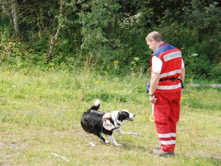 2009-08-23_ntb_7036