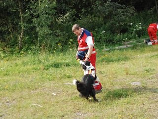 2009-08-23_ntb_7038
