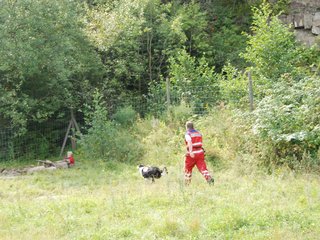 2009-08-23_ntb_7052