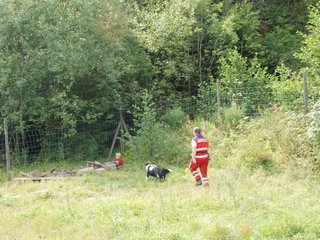 2009-08-23_ntb_7053