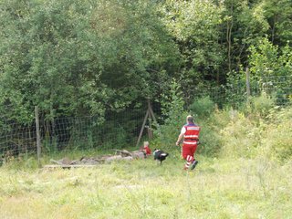2009-08-23_ntb_7054