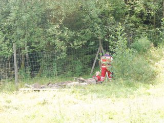 2009-08-23_ntb_7058