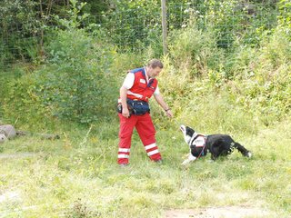 2009-08-23_ntb_7075