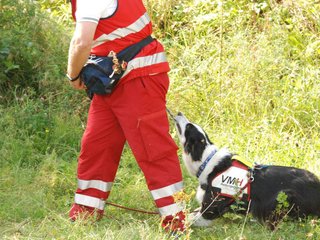 2009-08-23_ntb_7078