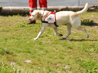 2009-08-23_ntb_7125