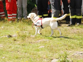 2009-08-23_ntb_7126