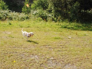 2009-08-23_ntb_7128
