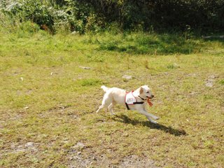 2009-08-23_ntb_7129