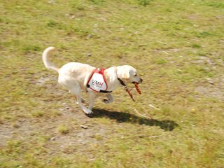 2009-08-23_ntb_7130