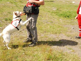 2009-08-23_ntb_7131