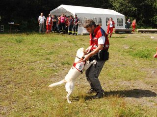 2009-08-23_ntb_7134
