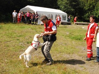 2009-08-23_ntb_7135